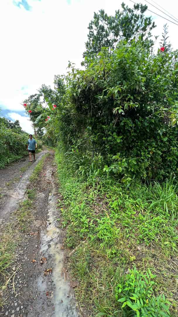 Đất nông nghiệp 10826,8m² tại Long Khánh, Đồng Nai - Cơ hội đầu tư hấp dẫn!