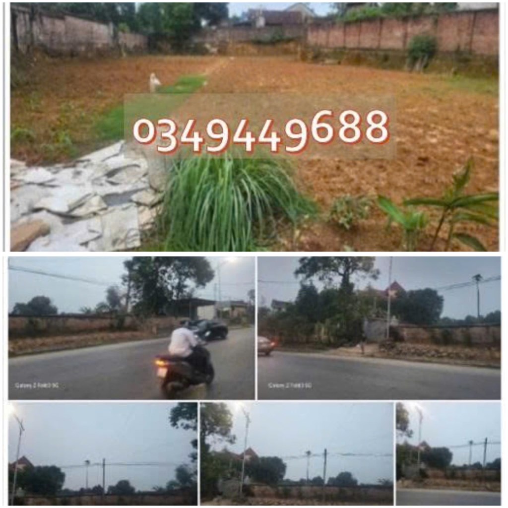 Đất nền mặt đường Lạc Hồng, Thị Trấn Lâm Thao, Phú Thọ 1154m² - Tiềm năng đầu tư lớn!