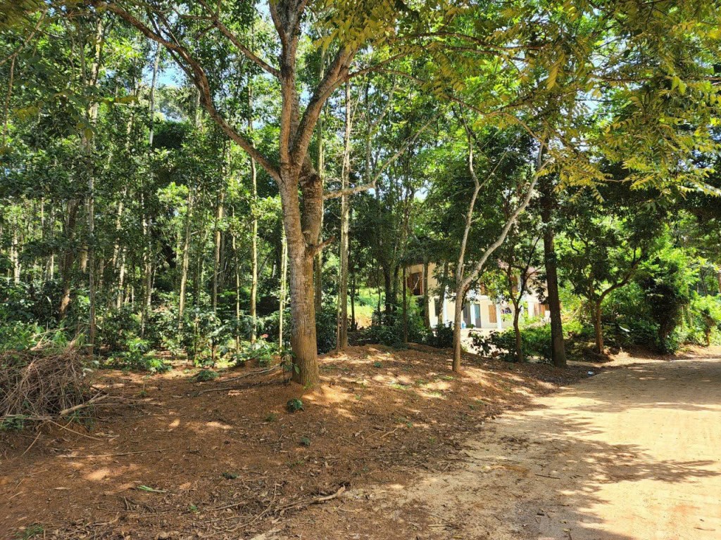 Đất nền Lạc Sơn, Hòa Bình 1000m² giá 1.3 tỷ - View hồ tuyệt đẹp, đầu tư sinh lời!