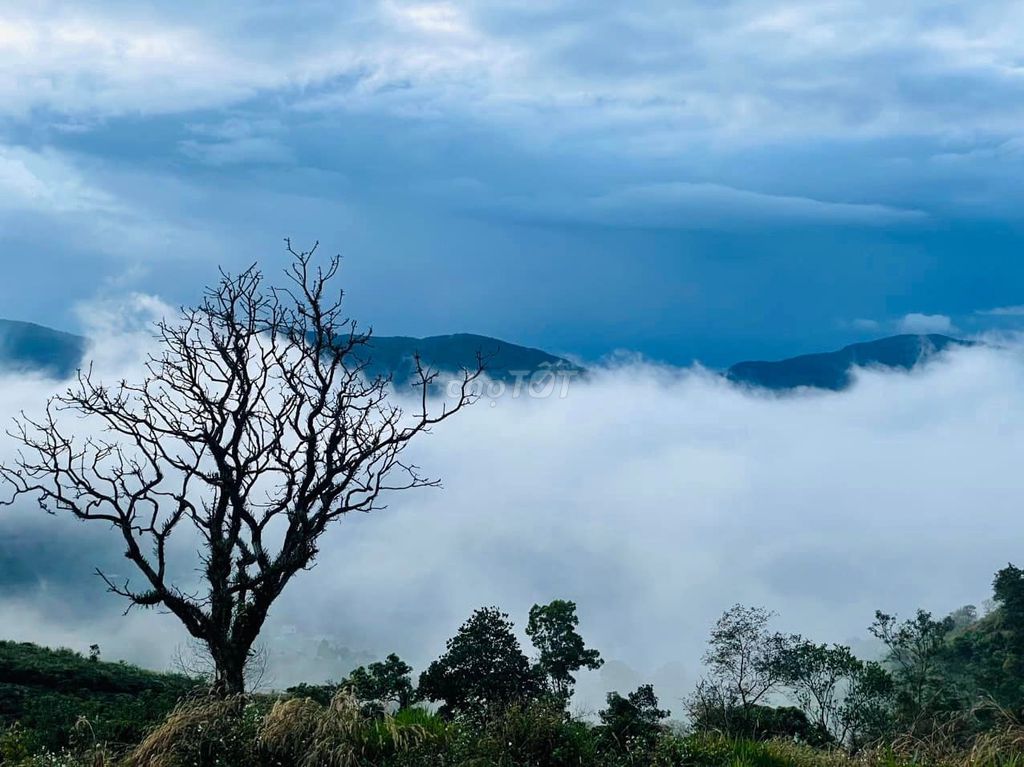 Đất nền nghỉ dưỡng Lộc Thành, Bảo Lâm 3800m² giá 5.3 tỷ - Cơ hội đầu tư hiếm có!