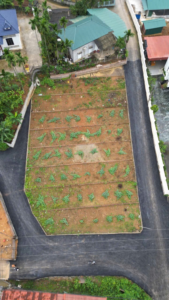 Đất nền Thịnh Minh Phú Thọ 107,5m² giá 700 triệu - Đầu tư sinh lời bền vững!