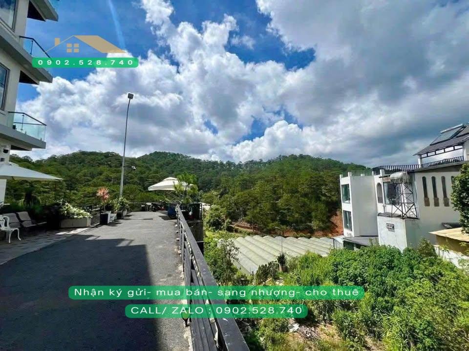 Đất nền 251m² view rừng tại Hoàng Hoa Thám, Đà Lạt - Cơ hội đầu tư tuyệt vời!