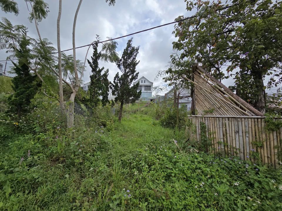 Đất 2 mặt tiền Trần Đại Nghĩa, phường 8, 150m² giá 5.9 tỷ - Cơ hội đầu tư hấp dẫn!