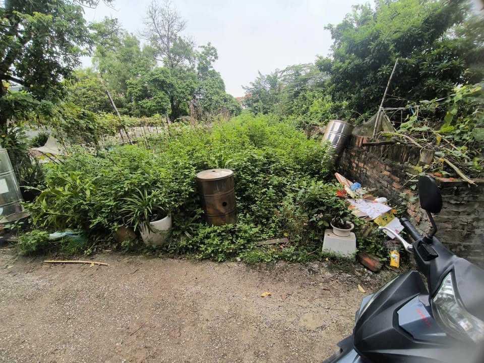 Đất làng nghề Liễu Ngoại, Khánh Hà 91m² - Vị trí đắc địa ngay vành đai 4!