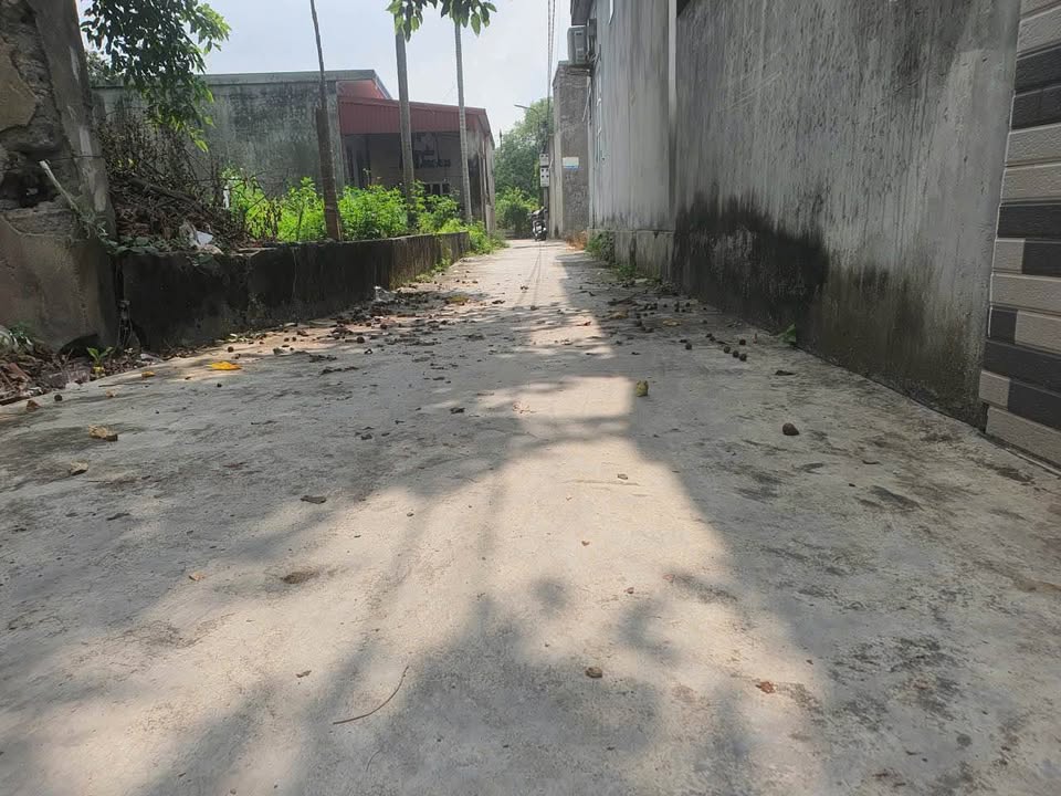 Đất nền Minh Kha, An Dương 60m² giá 1.4 tỷ - Cơ hội đầu tư hiếm có!