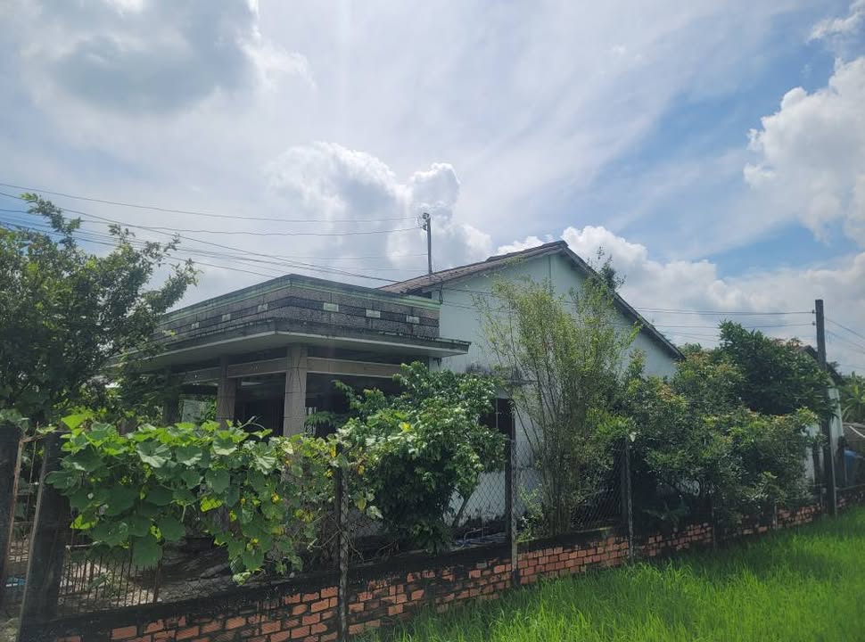 Nhà cấp 4 chính chủ tại xã Lạc Tấn, huyện Tân Trụ, 374m² - Cơ hội đầu tư tuyệt vời!