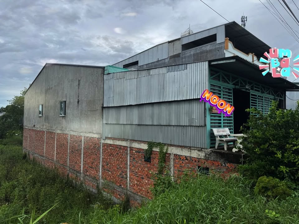 Nhà 1 Sàn 1 Trệt tại An Giang 212m² giá 4.55 tỷ - Ô tô đậu trong nhà!