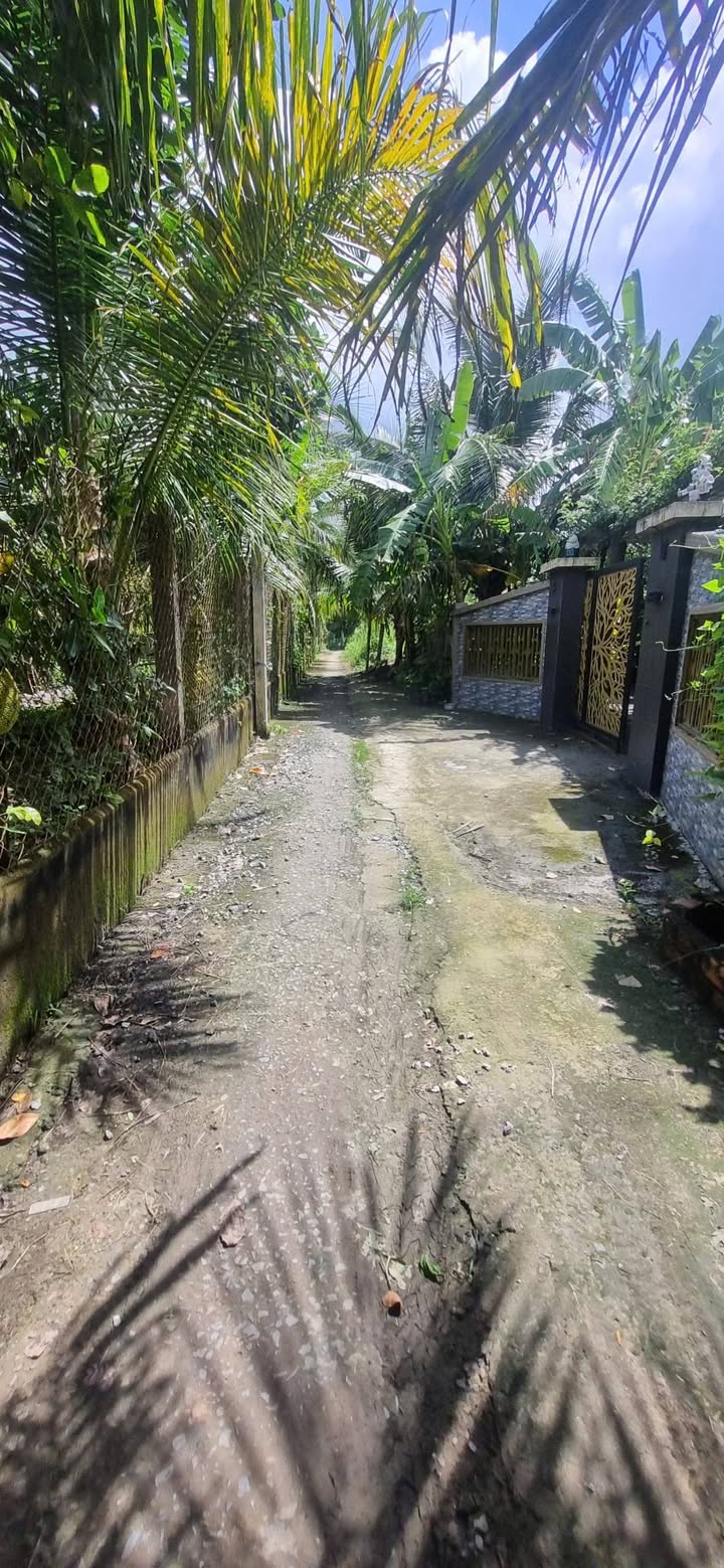 Đất vườn 200m² tại Phước Thạnh, Mỹ Tho chỉ 400 triệu - Cơ hội đầu tư tuyệt vời!