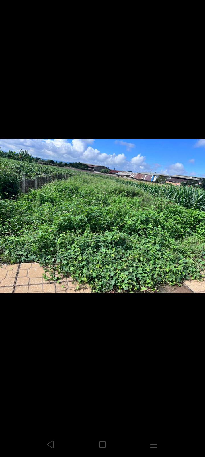 Đất nền Đức Trọng Lâm Đồng 500m² giá 3.7 tỷ - Đầu tư sinh lời ngay!