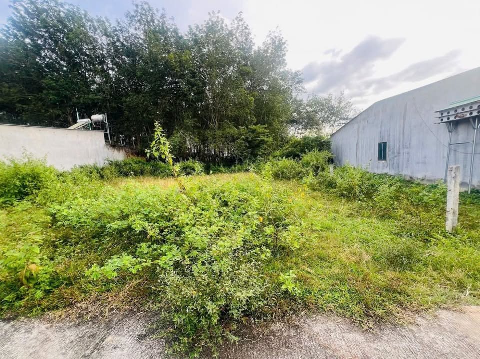 Đất thổ cư 240m² tại Thôn 4, Đăk Cấm - Giá chỉ từ 5xx triệu!