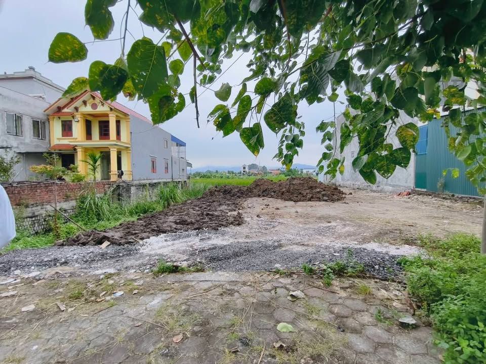 Đất nền trung tâm Bạch Đằng, Thủy Nguyên 180m² giá chỉ 2.34 tỷ - Cơ hội đầu tư hiếm có!