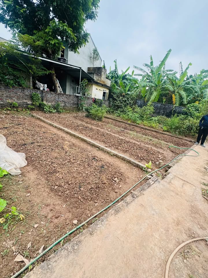 Đất nền Chương Dương Thường Tín 44,4m² giá 2,04 tỷ - Vị trí đắc địa, thoáng mát!