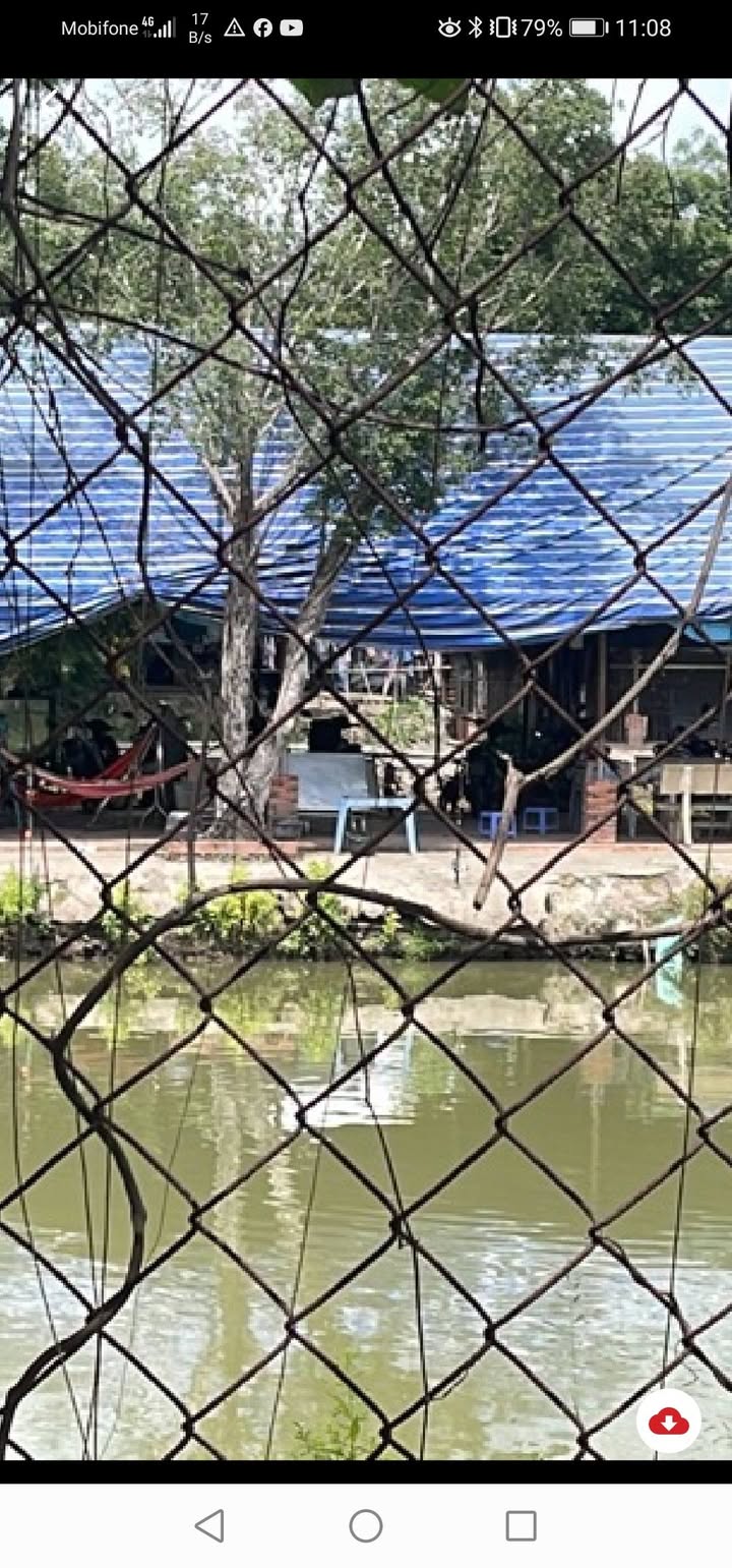 Đất vườn mặt tiền Trần Hải Phụng 1270m² giá 10.2 tỷ - Cơ hội đầu tư tiềm năng!