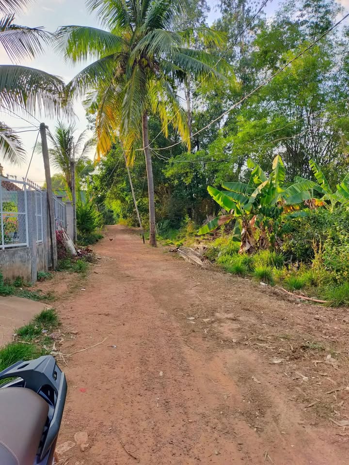 Đất nền thôn An Bão, xã Mỹ Lộc, 190m² chỉ 300 triệu - Cơ hội vàng đầu tư!