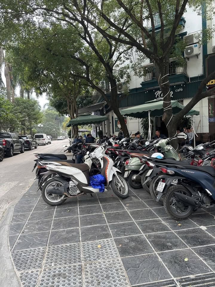 Đất mặt phố Miếu Đầm, Mễ Trì, 231m² giá 205 tỷ - Kinh doanh mọi loại hình!