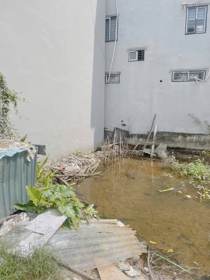 Đất nền An Khánh Hoài Đức 51,5m² giá thỏa thuận - Ô tô đỗ cửa, vị trí đẹp!