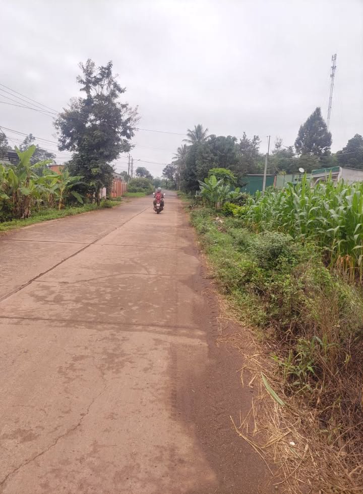 Đất mặt tiền Buôn Tơng Ju, Ea Kao 50m² giá 1.9 tỷ - Cơ hội đầu tư không thể bỏ lỡ!