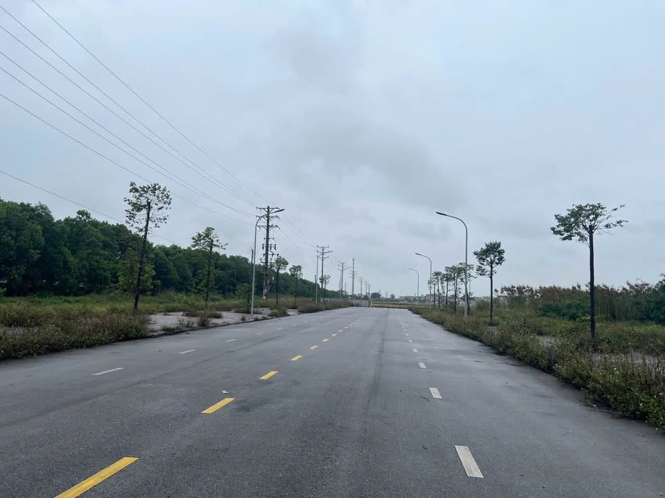 Đất dự án Dũng Liệt Yên Phong 90m² giá 3 tỷ - Tiềm năng sinh lời cao!