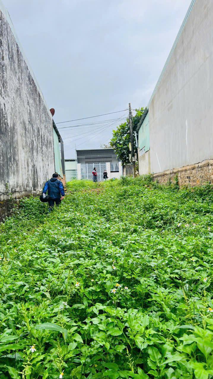 Đất thổ cư 150m² phường Thắng Lợi, TP Pleiku - An ninh tốt, hàng xóm thân thiện!