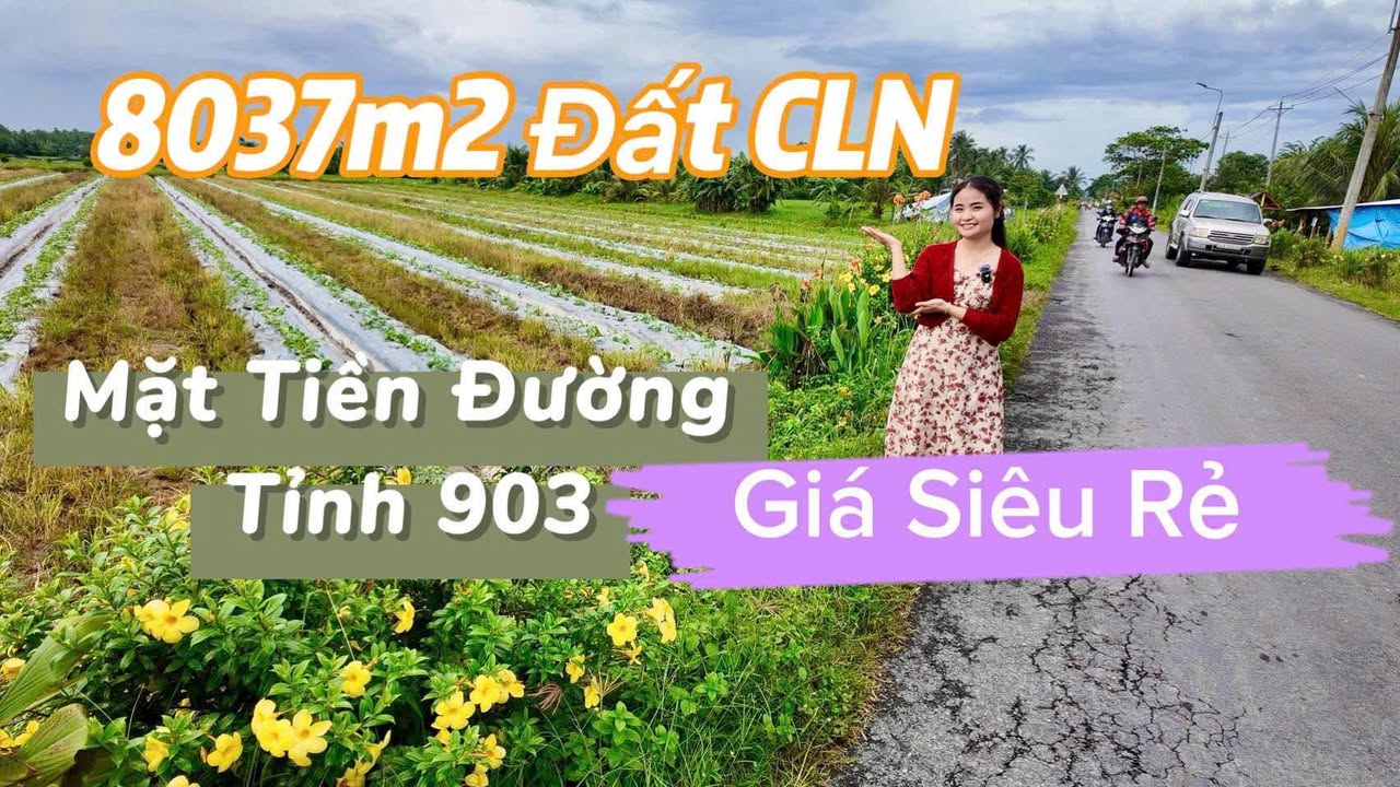 Đất mặt tiền 903, xã Bình Phước, 8037m² giá 10.4 tỷ - Đầu tư sinh lời bền vững!