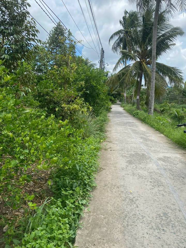 Đất nền 1051m² xã Quới Thành, huyện Châu Thành, Bến Tre - Giá chỉ 1.07 tỷ, thương lượng tốt!