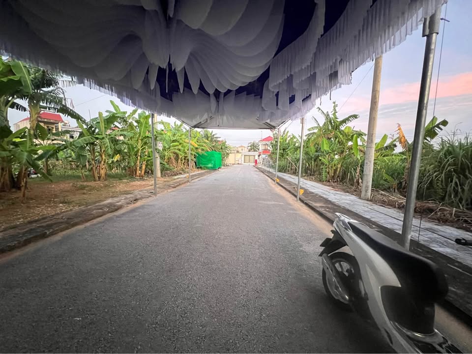 Đất nền Đông Minh, Đông Sơn, Thanh Hóa 126m² giá 1.1 tỷ - Đầu tư sinh lời ngay!