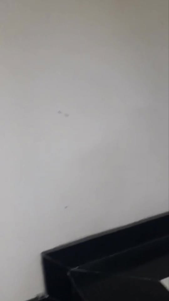 Nhà cho thuê tại Tân Hiệp, Tân Uyên 3PN giá chỉ 7 triệu - Tiện nghi đầy đủ!