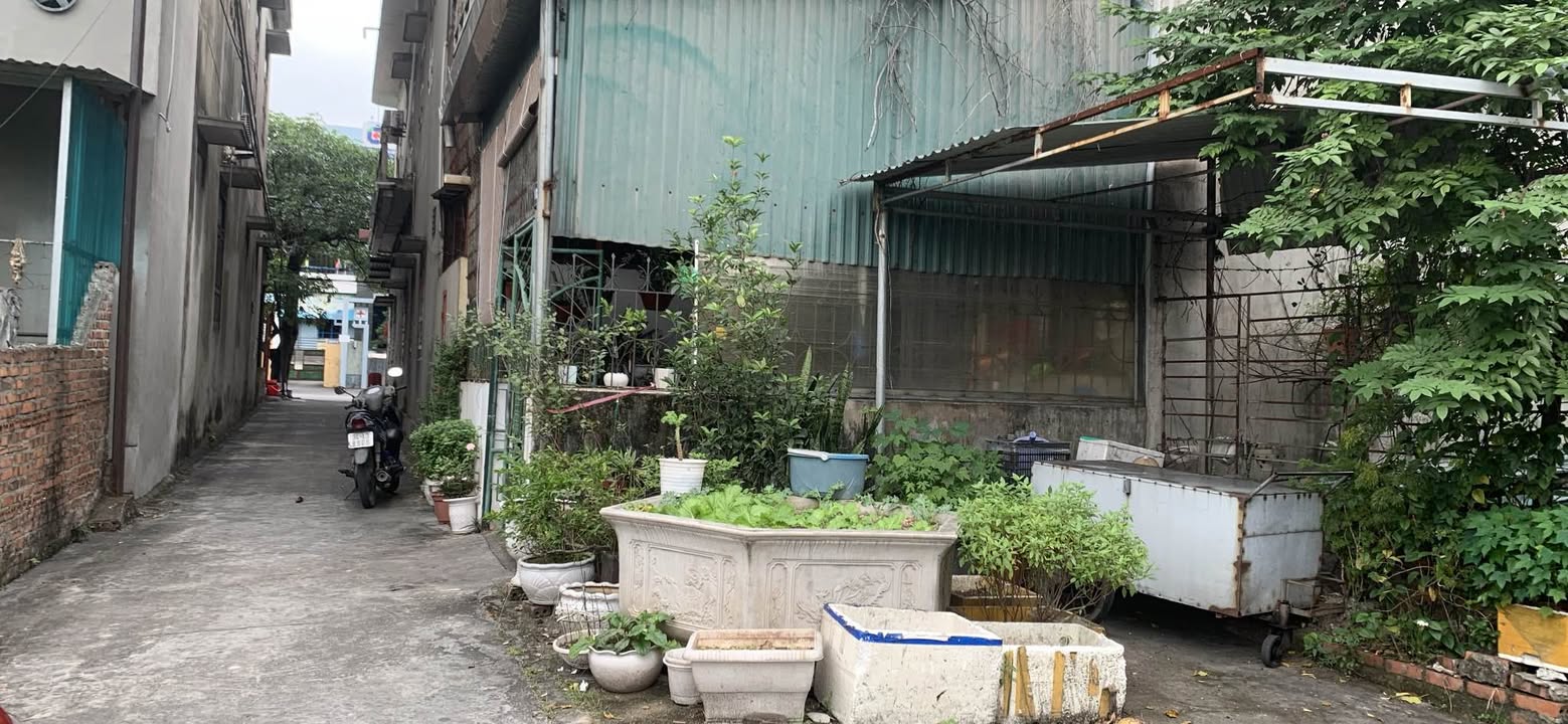 Đất Mạo Khê 100m² giá 1.2 tỷ - Đầu tư sinh lời ngay hôm nay!