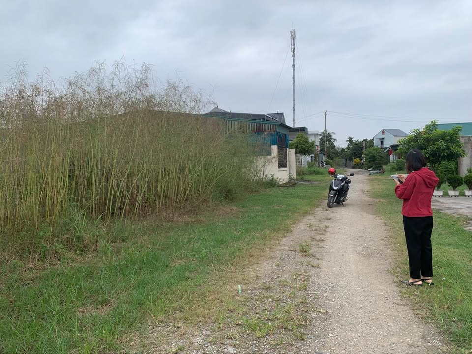 Đất thổ cư Mạo Khê 192m² giá 1.3 tỷ - Cơ hội đầu tư sinh lời cao!