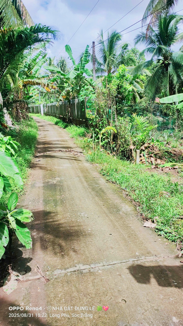 Đất vườn Tân Thạnh 2664m² giá 580 triệu - View sông, sổ hồng chính chủ!