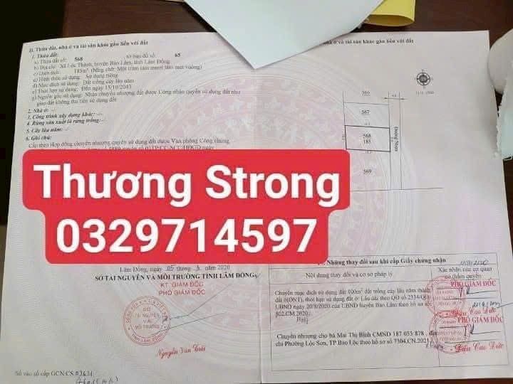 Cho thuê đất 185m² tại Lộc Thành, Bảo Lâm - Miễn phí 3 tháng đầu!