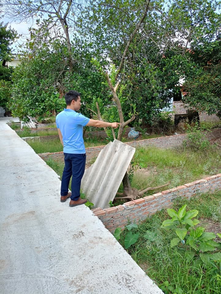 Bán đất 4 lô tại xã Phạm Ngũ Lão, huyện Ân Thi 175m² giá 4 tỷ - Đường thông, xe 7 chỗ vào tận cửa!