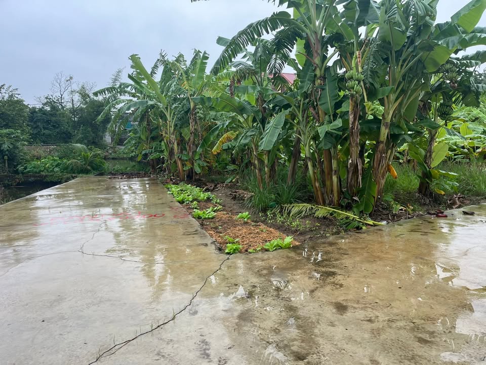 Đất nền 91m² Tân Quang, Văn Lâm chỉ 600 triệu - Đầu tư sinh lời