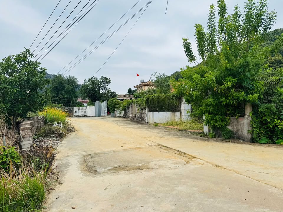 Nhà 2 tầng 318m² tại Kim Bào, Duy Tân, Kinh Môn - Giá chỉ 1 tỷ!