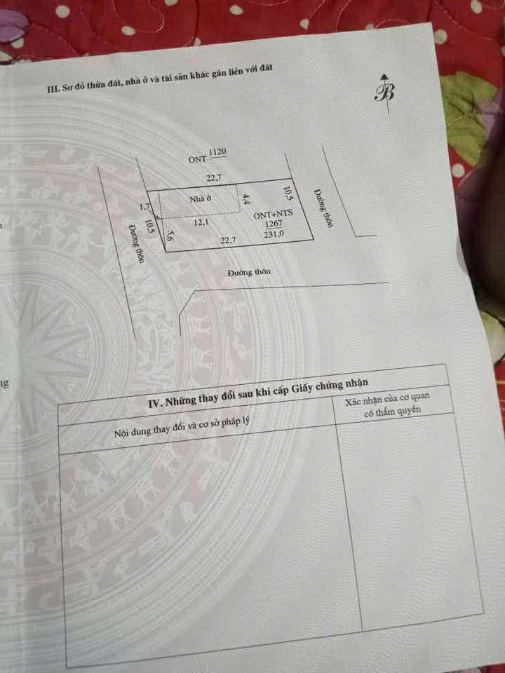 Đất thổ cư 231m² tại Thôn Tam Hòa, Quảng Xương - Giá chỉ 600 triệu