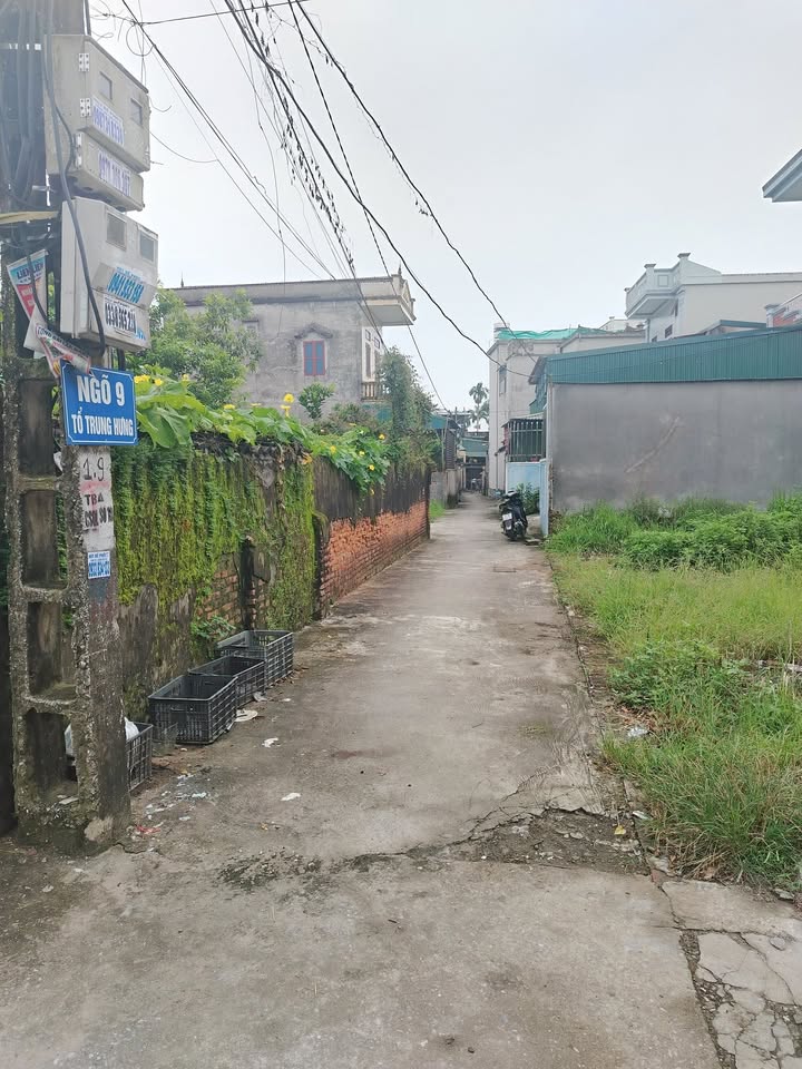 Đất tổ Trung Hưng, Thị trấn Vũ Thư 42m² - Hướng Nam tài lộc, ô tô vào tận đất!