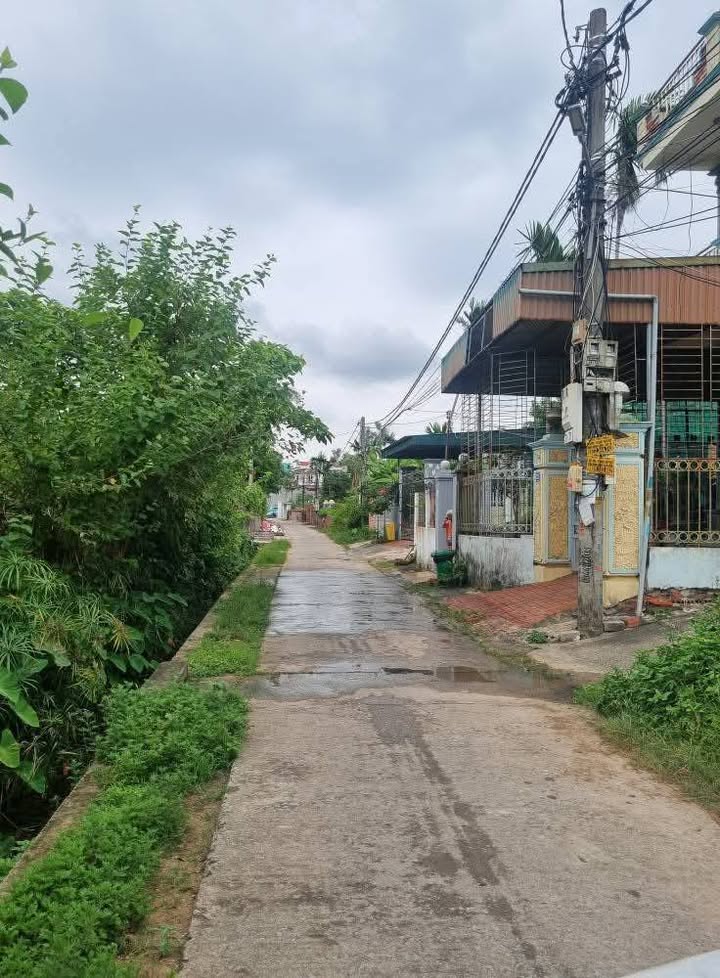 Đất nền Hạ Long 93m² giá thỏa thuận - Sổ đỏ chính chủ, vị trí đẹp!