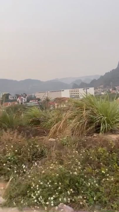 Đất liền kề 91m² và 84m² tại phường Hà Phong, Hạ Long - Giá chỉ 800 triệu