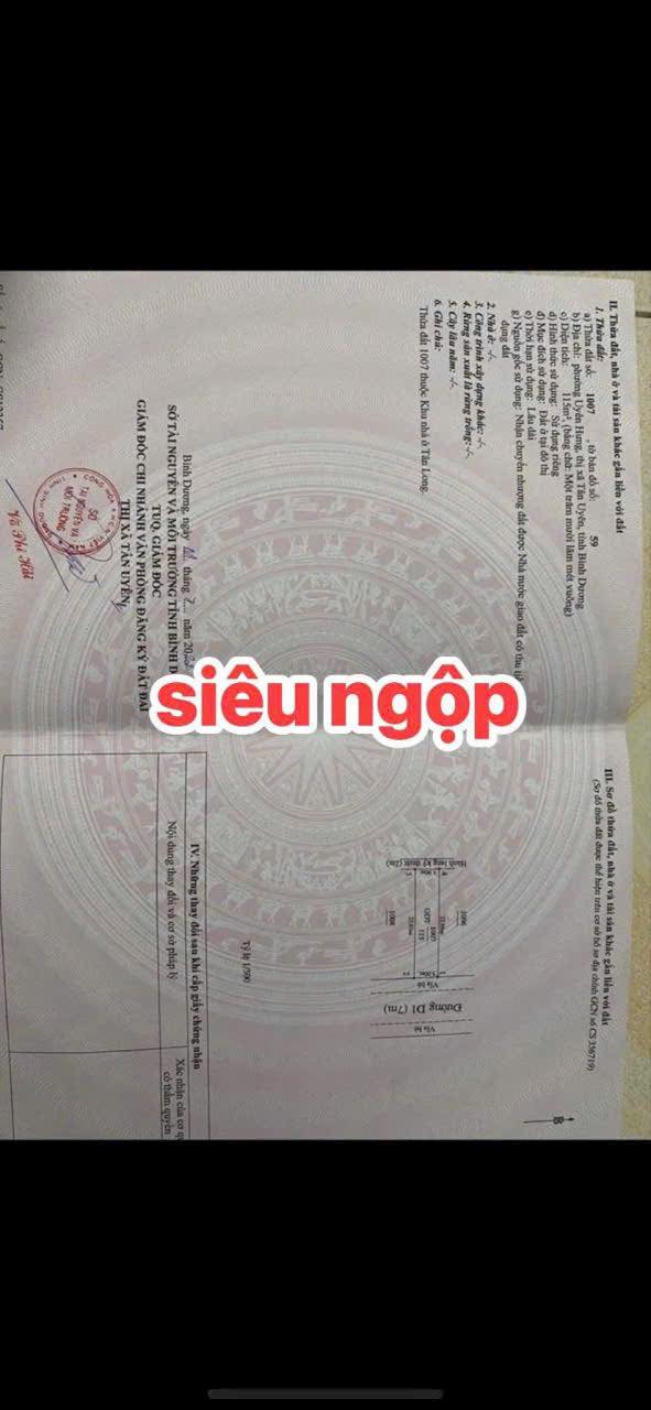 Đất nền dự án Tân Long 1, Uyên Hưng, 115m² giá 1.6 tỷ - Cơ hội đầu tư hấp dẫn!