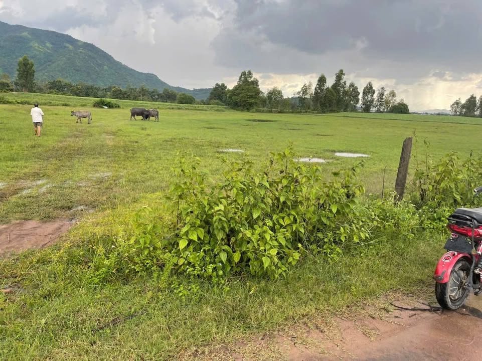 Đất nền Hòa Sơn, Krông Bông 23.400m² giá chỉ 2.34 tỷ - Tiện ích đầy đủ!