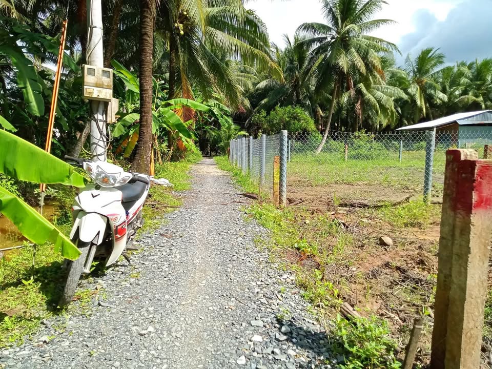 Đất nền ấp Nhơn Hòa, xã Hòa Định, huyện Chợ Gạo 330m² giá 280 triệu - Sổ đỏ chính chủ!