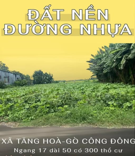 Đất nền Gò Công Đông 850m² giá 1.1 tỷ - Cơ hội đầu tư hấp dẫn!