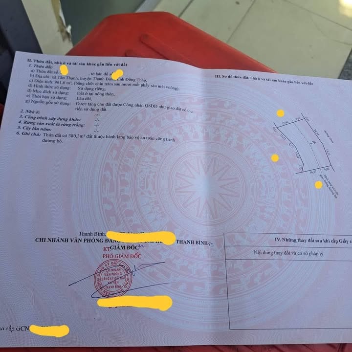 Đất ấp Bắc, xã Tân Thạnh, huyện Thanh Bình 961m² giá 1.9 tỷ - Mặt tiền đường nhựa rộng rãi