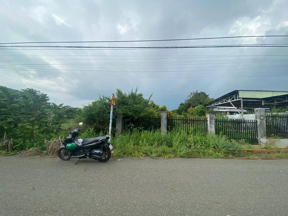 Đất nền Hòa Long, Bà Rịa - Vũng Tàu 516m² giá 4 tỷ - Cơ hội đầu tư hấp dẫn!