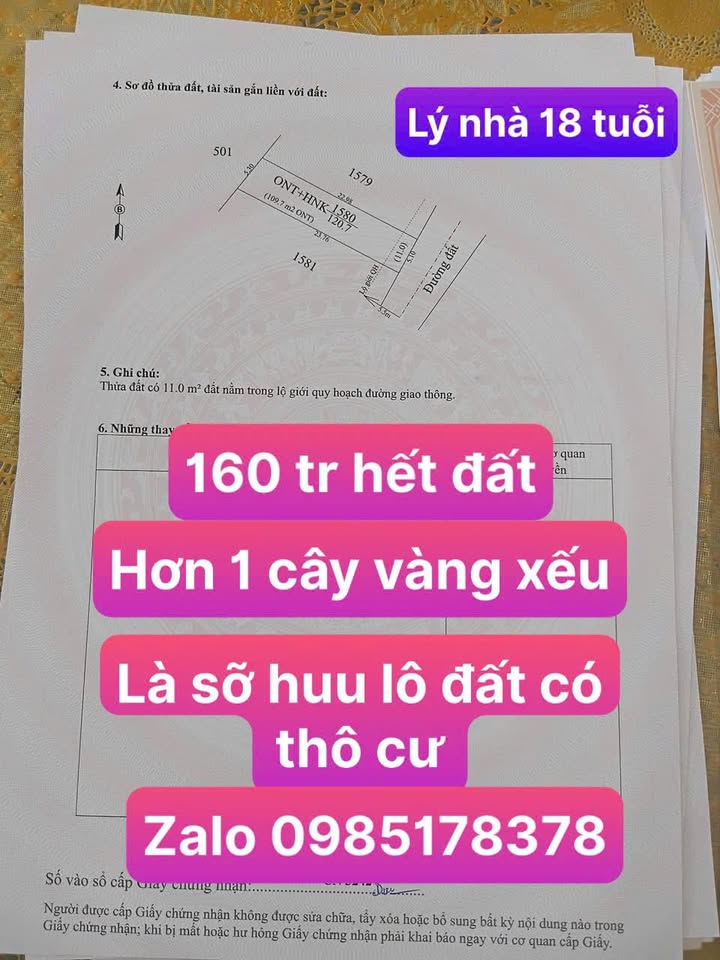 Đất nền xã Long Chữ Tây Ninh 120m² giá chỉ 160 triệu - Sổ riêng công chứng ngay!