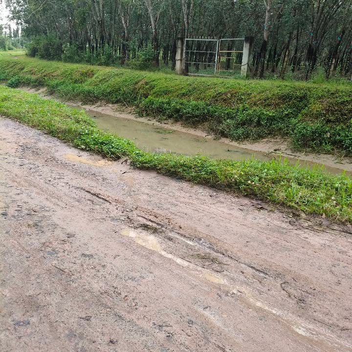 Đất Trường Hòa, Hòa Thành 4000m² giá 3.65 tỷ - Cơ hội đầu tư hấp dẫn!