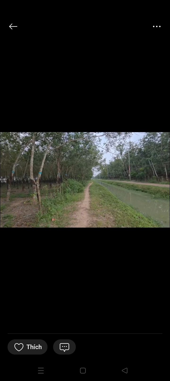 Đất nền 4.000m² tại Long Hoa, Hòa Thành, giá 1.46 tỷ - Cách đường nhựa chỉ 300m!