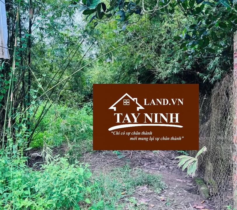 Đất nền phường Long Hoa, Tây Ninh 70m² giá 295 triệu - Đầu tư sinh lời ngay!