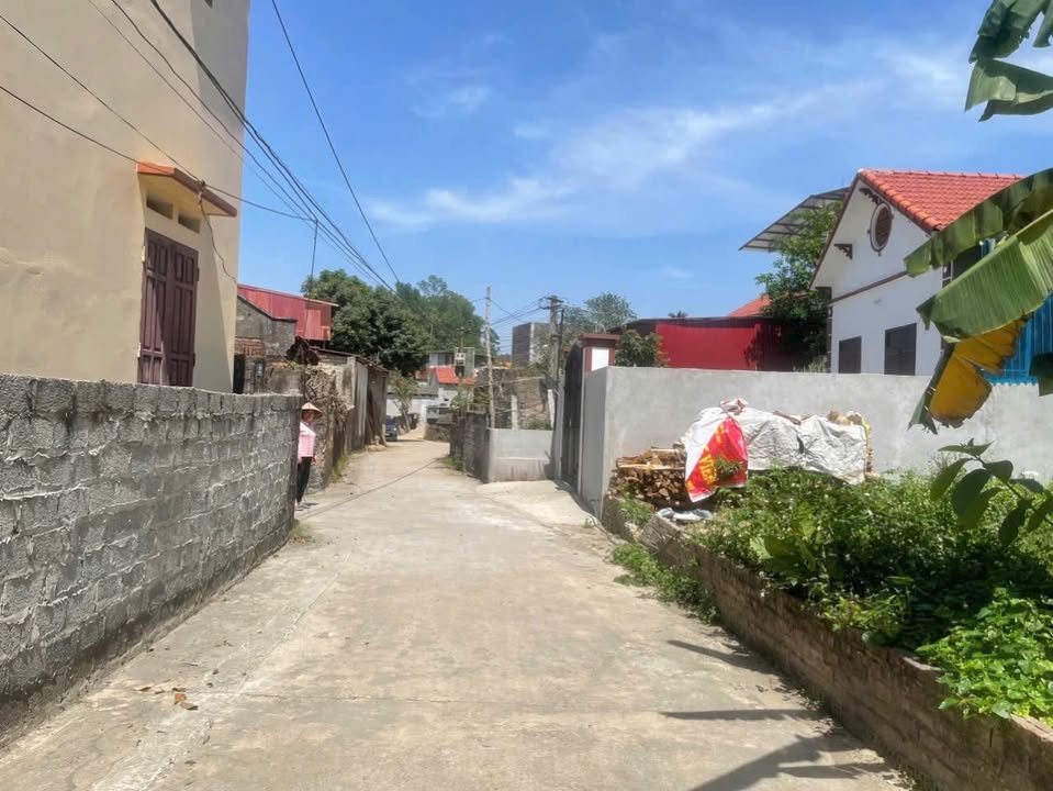 Đất nền Tòng Bạt, Ba Vì 299m² giá chỉ 1 tỷ - Đầu tư sinh lời ngay!