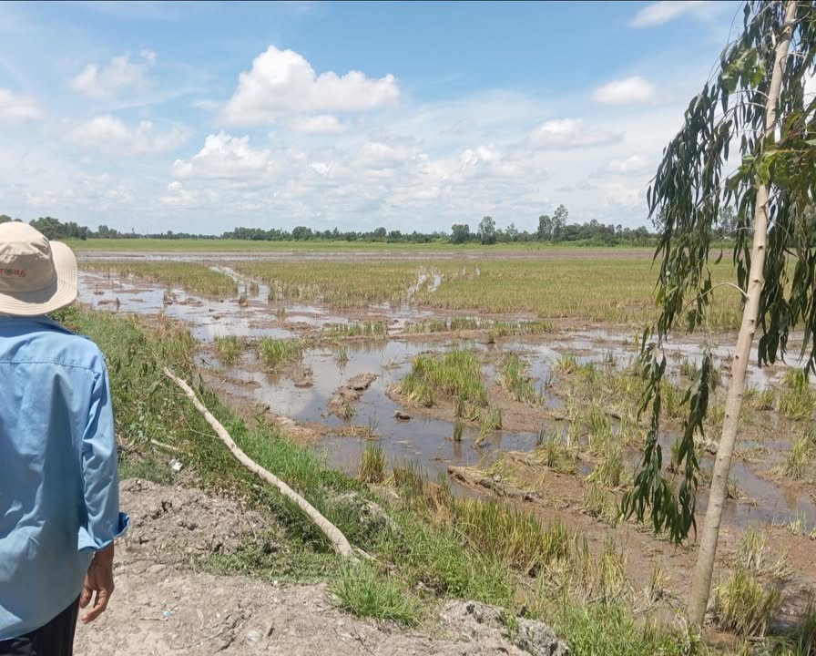 Đất nông nghiệp 10.000m² tại Minh Lương, Châu Thành, Kiên Giang - Sổ đỏ chính chủ!